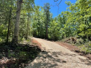 Property photo for land for sale in Shannon County Missouri