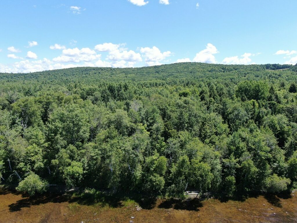 Property photo for land for sale in Washington County Maine