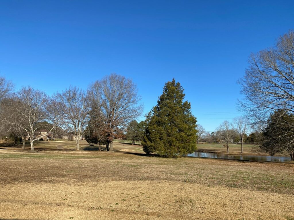 Property photo for land for sale in Hardin County Tennessee