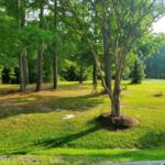 Property photo for land for sale in Perquimans County North Carolina