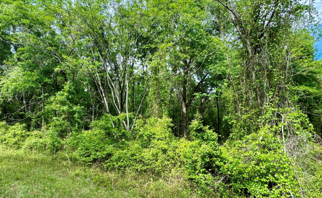 Property photo for land for sale in Hamilton County Florida