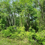 Property photo for land for sale in Hamilton County Florida