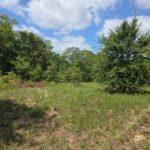 Property photo for land for sale in Atoka County Oklahoma