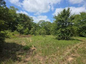 Property photo for land for sale in Atoka County Oklahoma