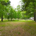 Property photo for land for sale in Perquimans County North Carolina