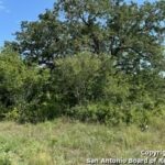 Property photo for land for sale in Karnes County Texas