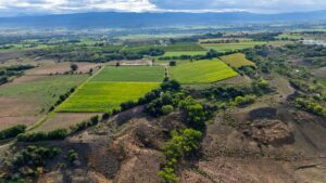 Property photo for land for sale in Montrose County Colorado