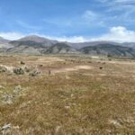 Property photo for land for sale in Pershing County Nevada