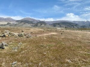 Property photo for land for sale in Pershing County Nevada