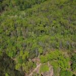 Property photo for land for sale in Patrick County Virginia