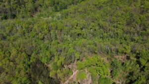 Property photo for land for sale in Patrick County Virginia