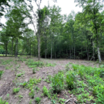 Property photo for land for sale in Shannon County Missouri