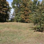 Property photo for land for sale in Howell County Missouri