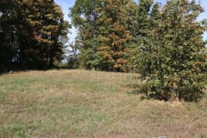 Property photo for land for sale in Howell County Missouri