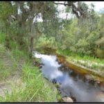 Property photo for land for sale in Hardee County Florida