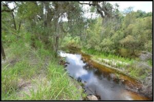 Property photo for land for sale in Hardee County Florida