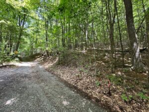 Property photo for land for sale in Roanoke County Virginia