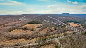 Property photo for land for sale in Cumberland County Tennessee