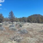 Property photo for land for sale in Modoc County California