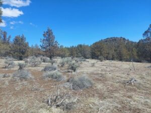 Property photo for land for sale in Modoc County California