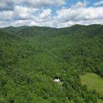 Property photo for land for sale in Albemarle County Virginia