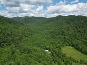 Property photo for land for sale in Albemarle County Virginia