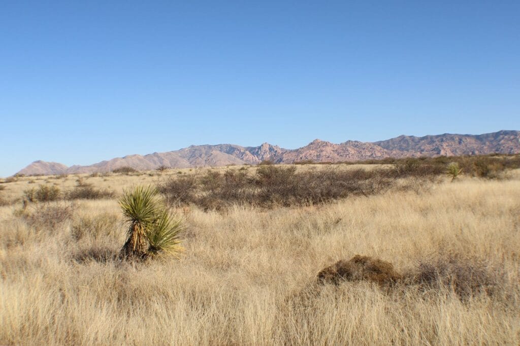 Property photo for land for sale in Cochise County Arizona