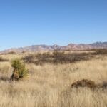 Property photo for land for sale in Cochise County Arizona