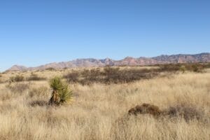 Property photo for land for sale in Cochise County Arizona