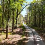 Property photo for land for sale in Gaston County North Carolina