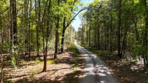 Property photo for land for sale in Gaston County North Carolina