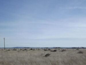 Property photo for land for sale in Torrance County New Mexico