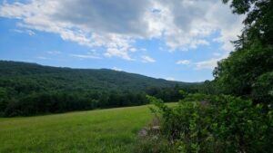 Property photo for land for sale in Montgomery County Virginia