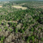 Property photo for land for sale in Red River County Texas