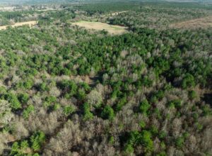 Property photo for land for sale in Red River County Texas