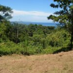 Property photo for land for sale in  County Panama