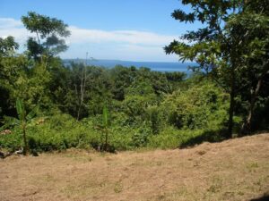 Property photo for land for sale in  County Panama