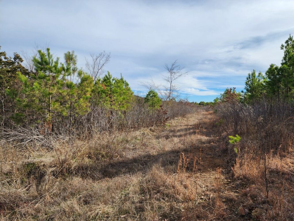 Property photo for land for sale in Le Flore County Oklahoma