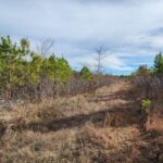 Property photo for land for sale in Le Flore County Oklahoma