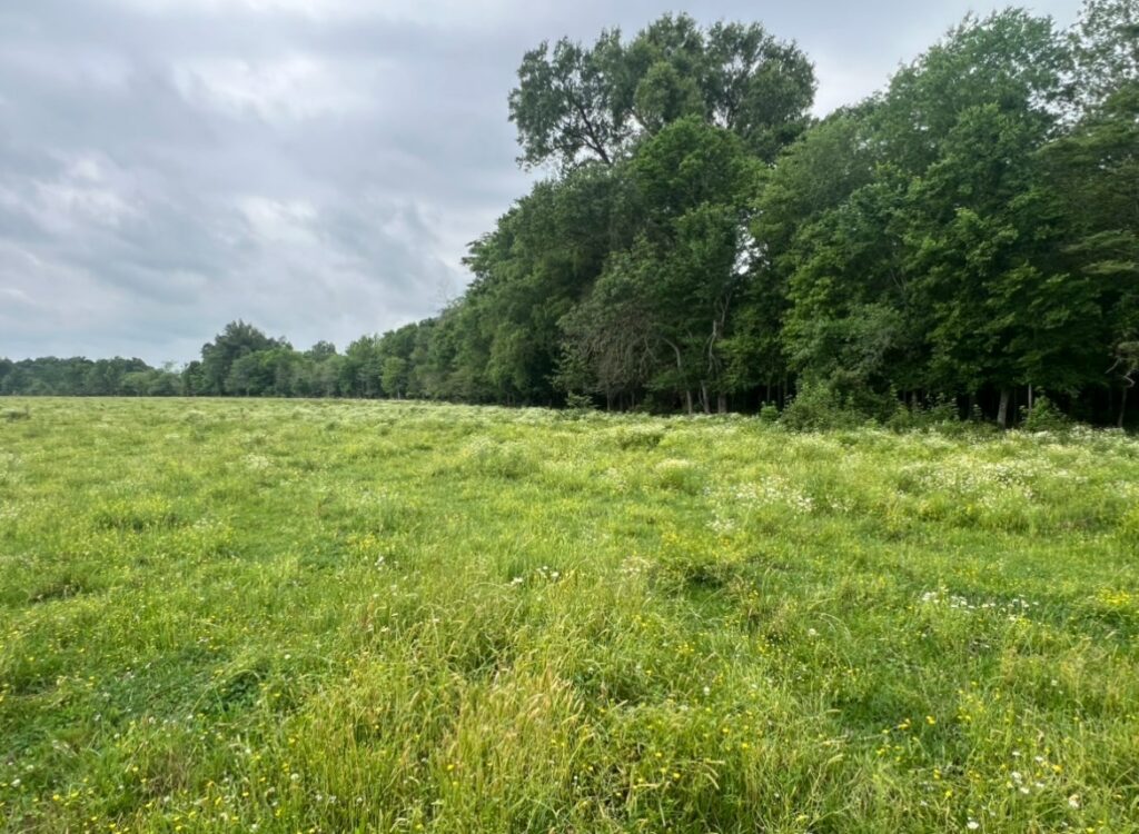 Property photo for land for sale in Franklin County Louisiana