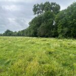 Property photo for land for sale in Franklin County Louisiana