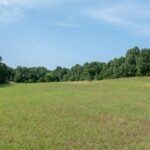 Property photo for land for sale in Boone County Missouri