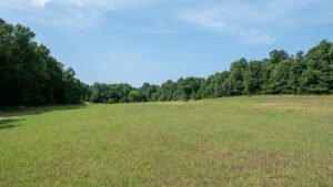 Property photo for land for sale in Boone County Missouri