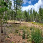 Property photo for land for sale in  County Colorado