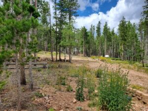 Property photo for land for sale in  County Colorado