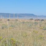 Property photo for land for sale in Modoc County California