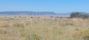 Property photo for land for sale in Modoc County California