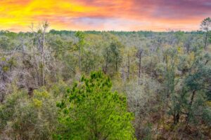 Property photo for land for sale in Madison County Florida