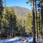 Property photo for land for sale in Larimer County Colorado