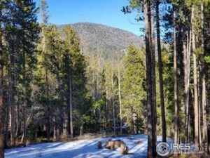 Property photo for land for sale in Larimer County Colorado